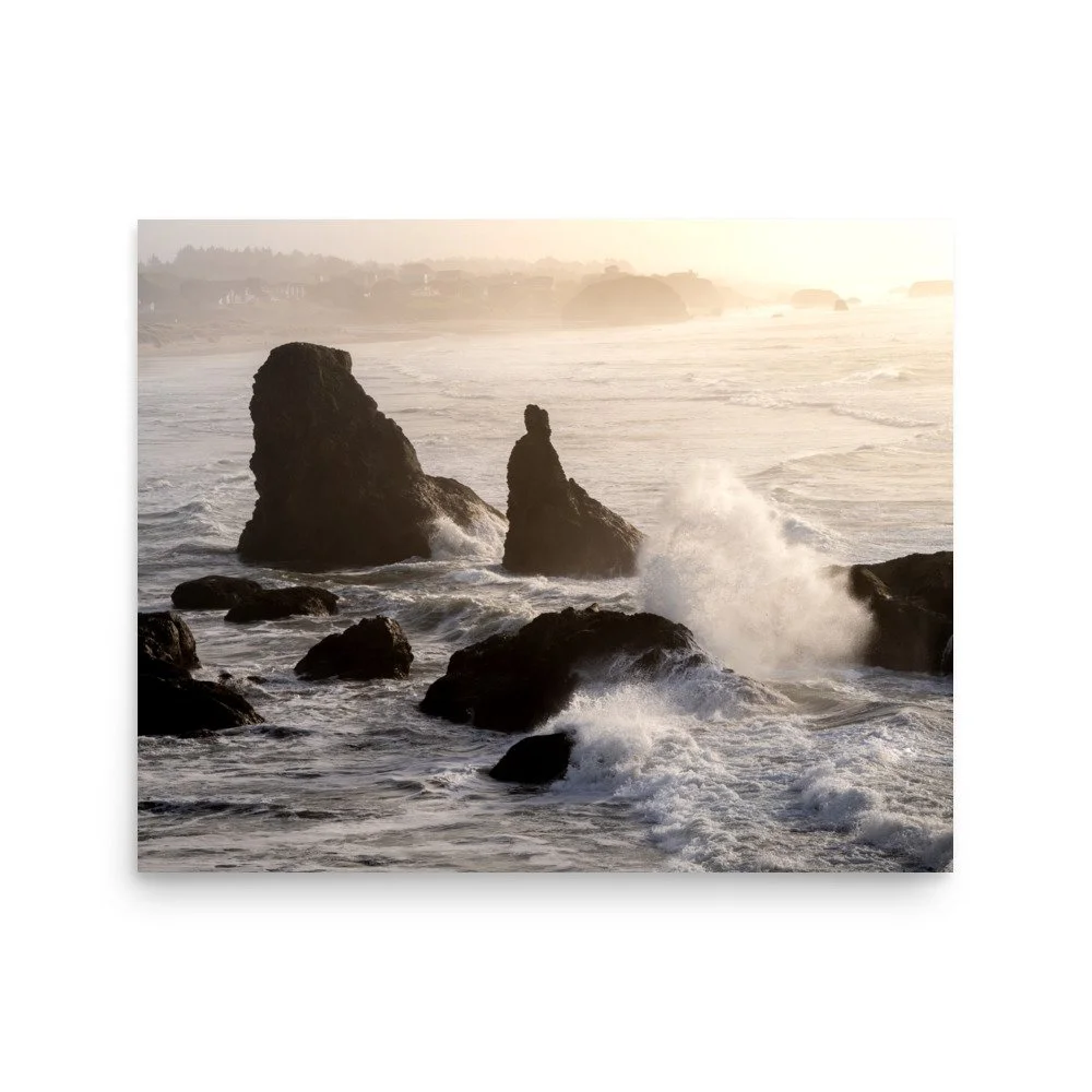 premium-luster-photo-paper-poster-(in)-16x20-front-6a0ebd68603df.jpg