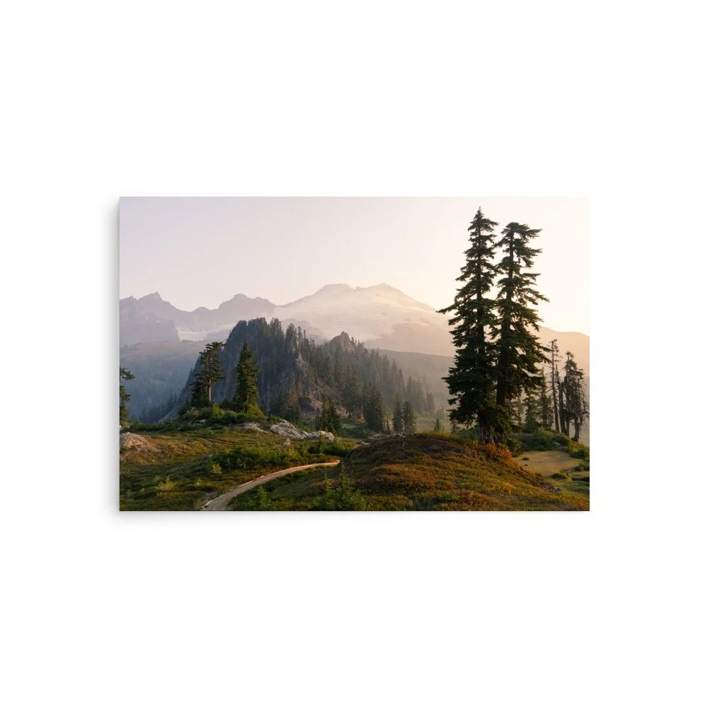 premium-luster-photo-paper-poster-(in)-20x30-front-6a0f498bc012d.jpg