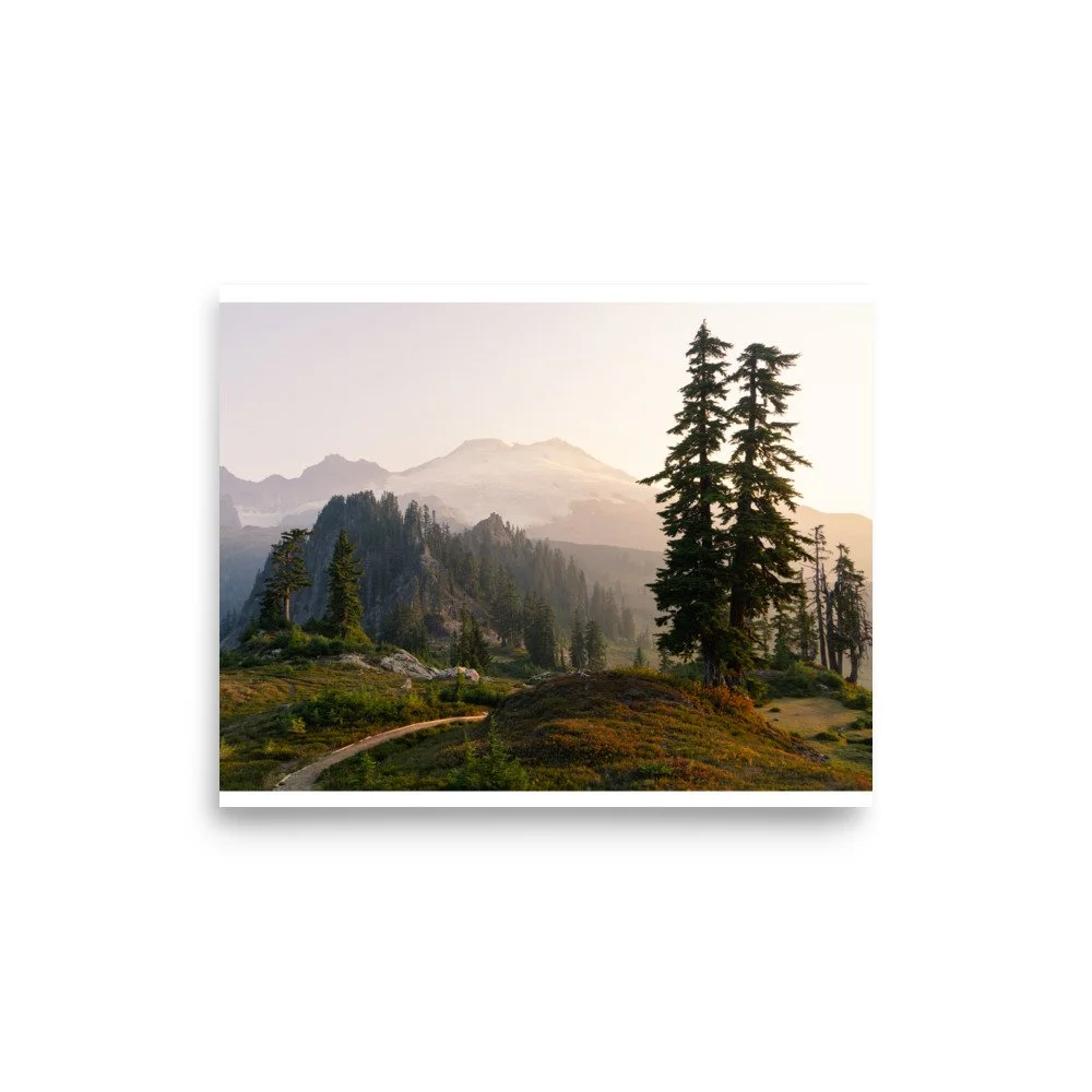 premium-luster-photo-paper-poster-(in)-8x10-front-6a0f498bbd658.jpg