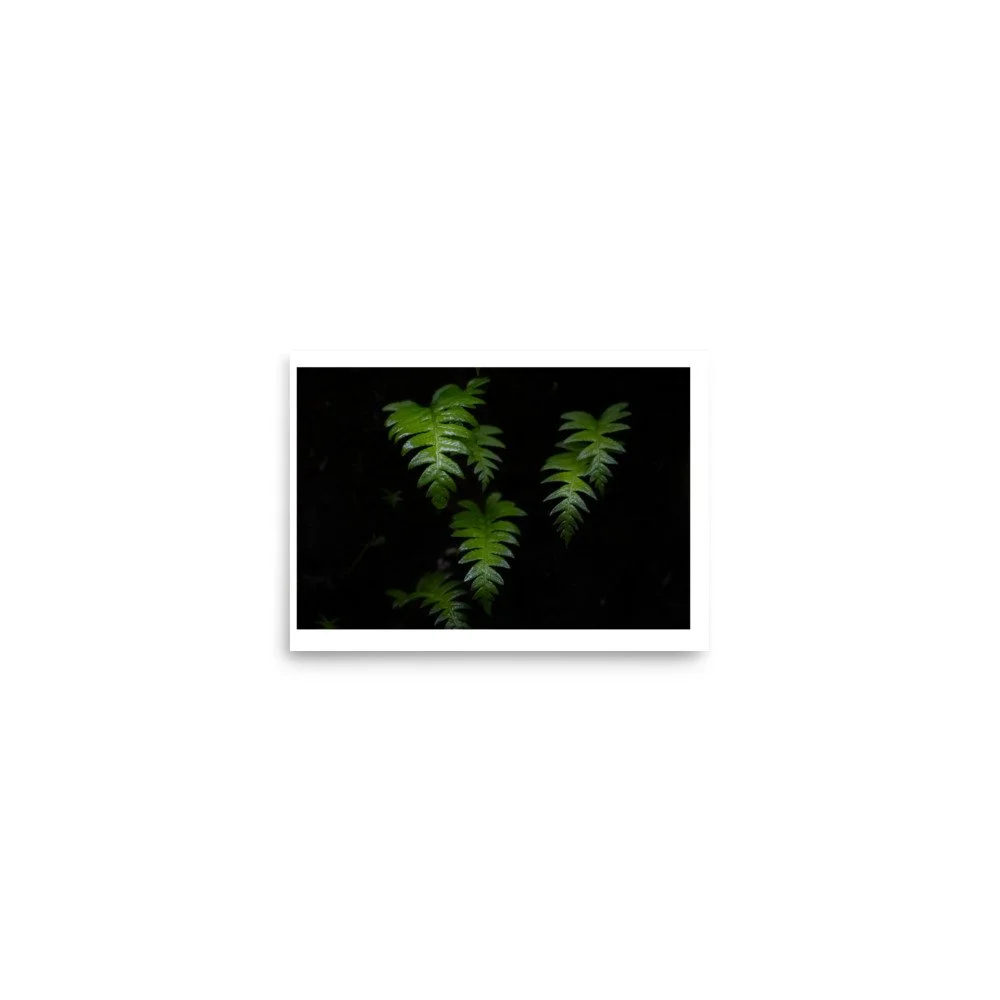 premium-luster-photo-paper-poster-(in)-5x7-front-6a0f550a2f0d8.jpg