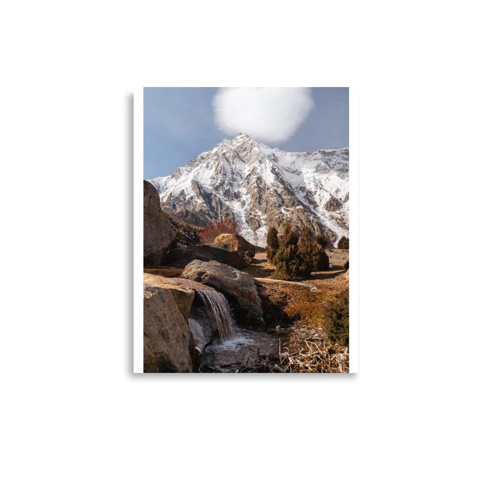 premium-luster-photo-paper-poster-(in)-11x14-front-6a0f59e14bd7e.jpg