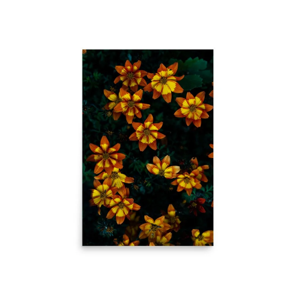 premium-luster-photo-paper-poster-(in)-20x30-front-6a0fb55c172d1.jpg