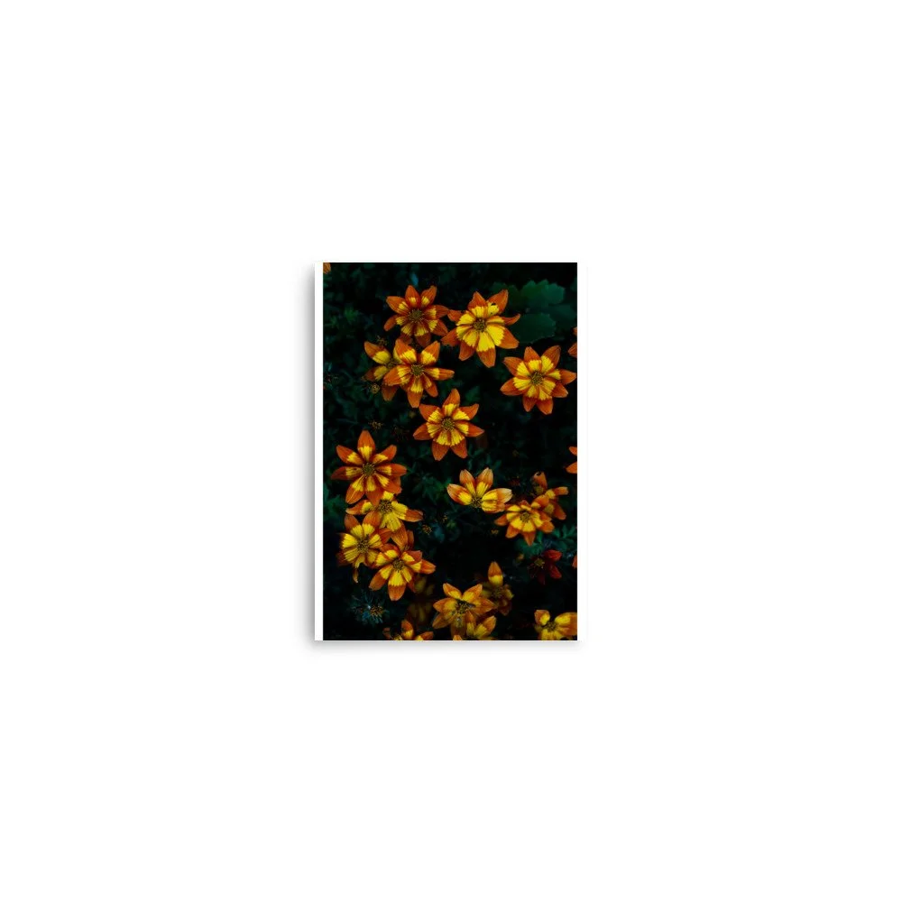 premium-luster-photo-paper-poster-(in)-5x7-front-6a0fb55c16d03.jpg