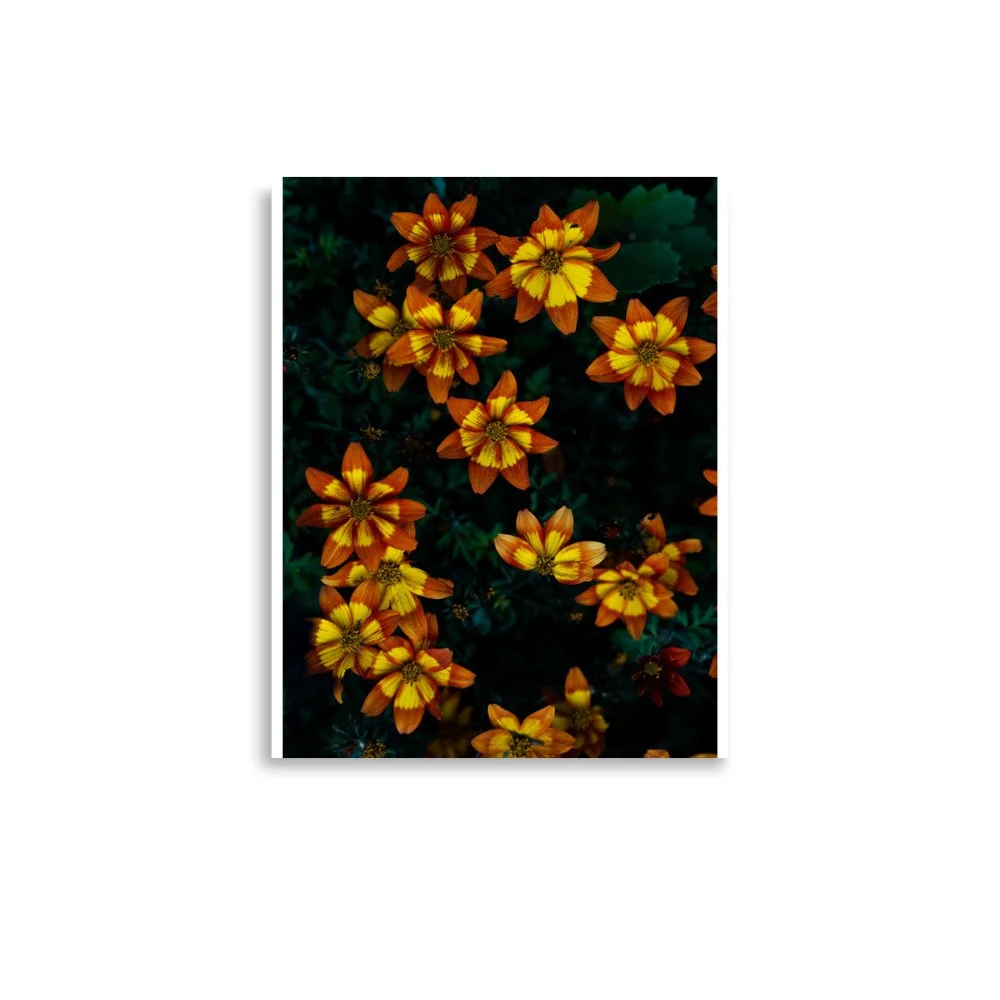 premium-luster-photo-paper-poster-(in)-11x14-front-6a0fb55c16744.jpg