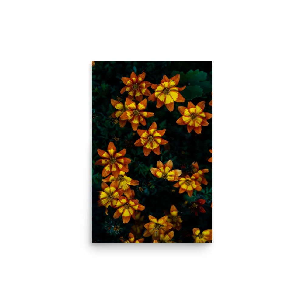 premium-luster-photo-paper-poster-(in)-12x18-front-6a0fb55c15ab1.jpg