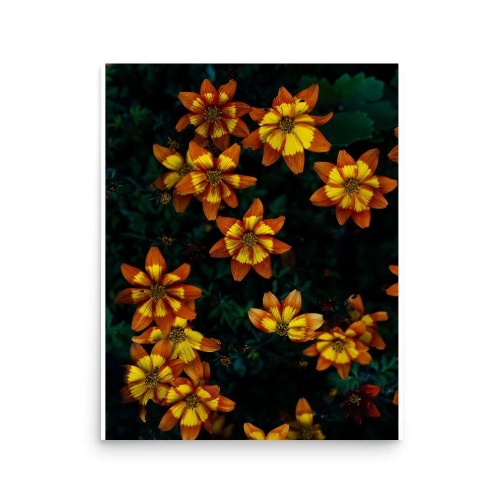 premium-luster-photo-paper-poster-(in)-16x20-front-6a0fb55c1611e.jpg