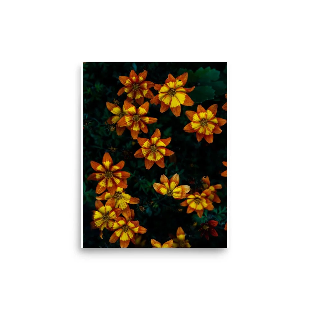 premium-luster-photo-paper-poster-(in)-8x10-front-6a0fb55c14eaf.jpg