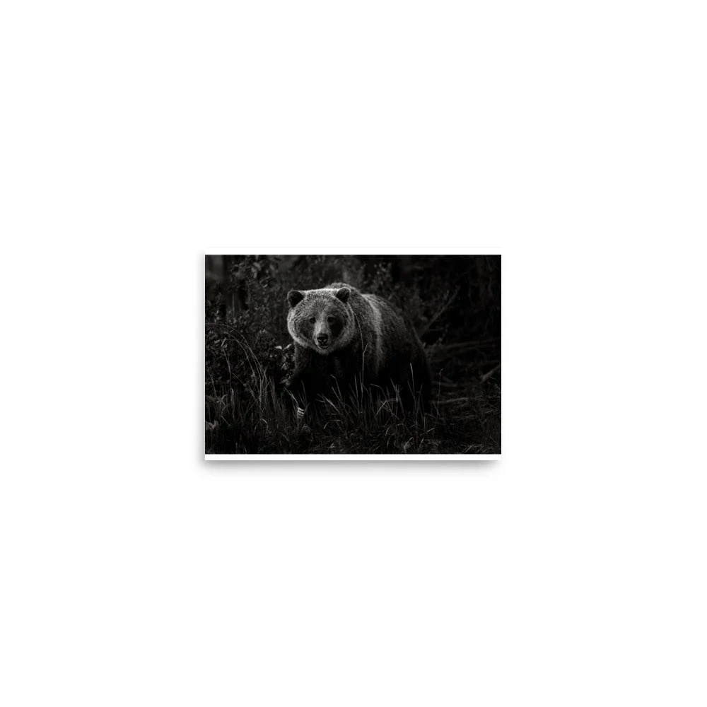 premium-luster-photo-paper-poster-(in)-5x7-front-6a0fc54196a27.jpg