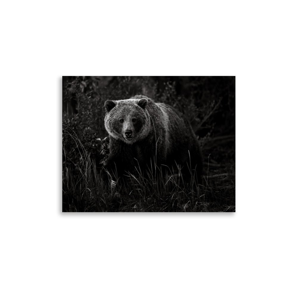 premium-luster-photo-paper-poster-(in)-11x14-front-6a0fc541963c3.jpg