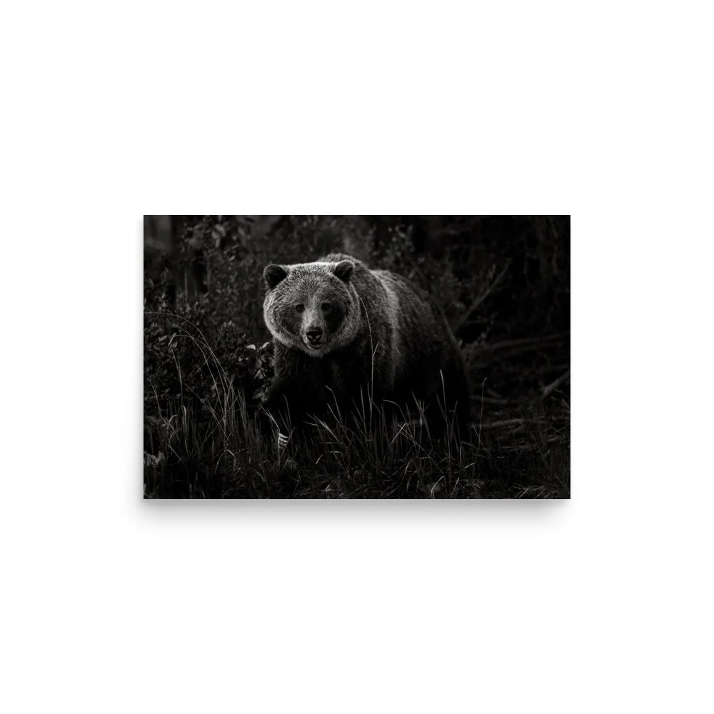 premium-luster-photo-paper-poster-(in)-12x18-front-6a0fc54195716.jpg