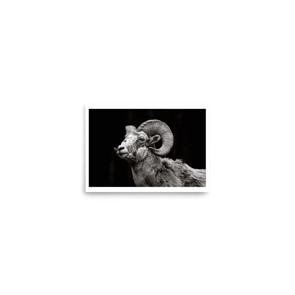 premium-luster-photo-paper-poster-(in)-5x7-front-6a0fca8656af8.jpg