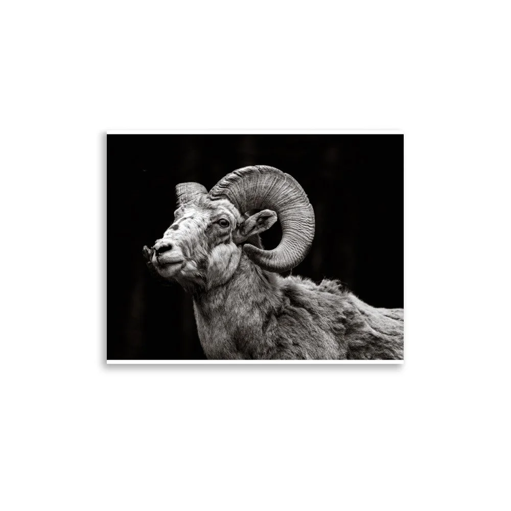 premium-luster-photo-paper-poster-(in)-11x14-front-6a0fca8655fa5.jpg