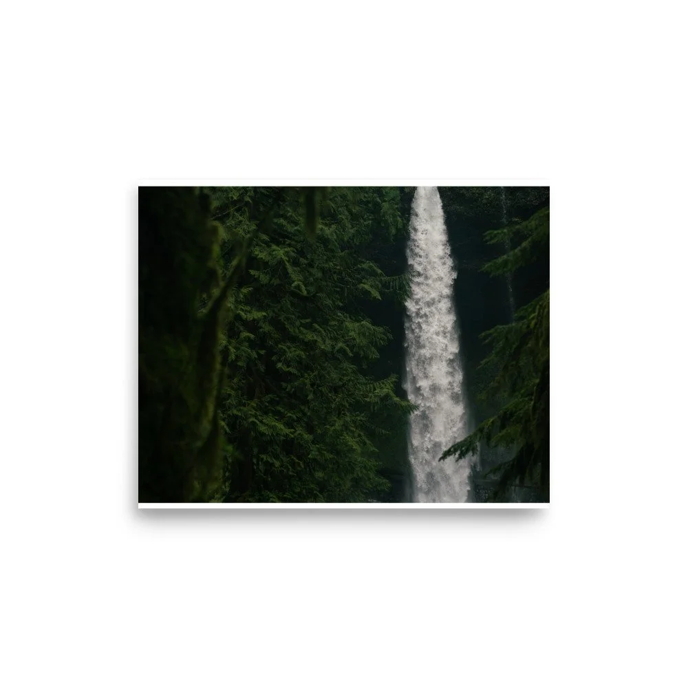 premium-luster-photo-paper-poster-(in)-8x10-front-6a0fcba313e24.jpg