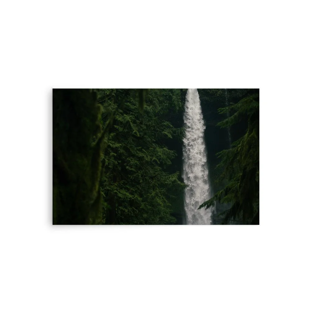 premium-luster-photo-paper-poster-(in)-20x30-front-6a0fcba31451b.jpg