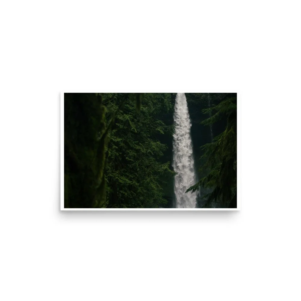 premium-luster-photo-paper-poster-(in)-12x18-front-6a0fcba314889.jpg