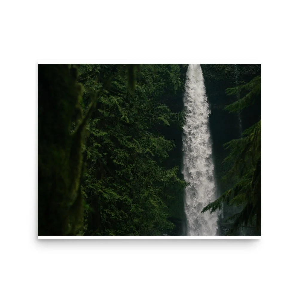 premium-luster-photo-paper-poster-(in)-16x20-front-6a0fcba3149a2.jpg