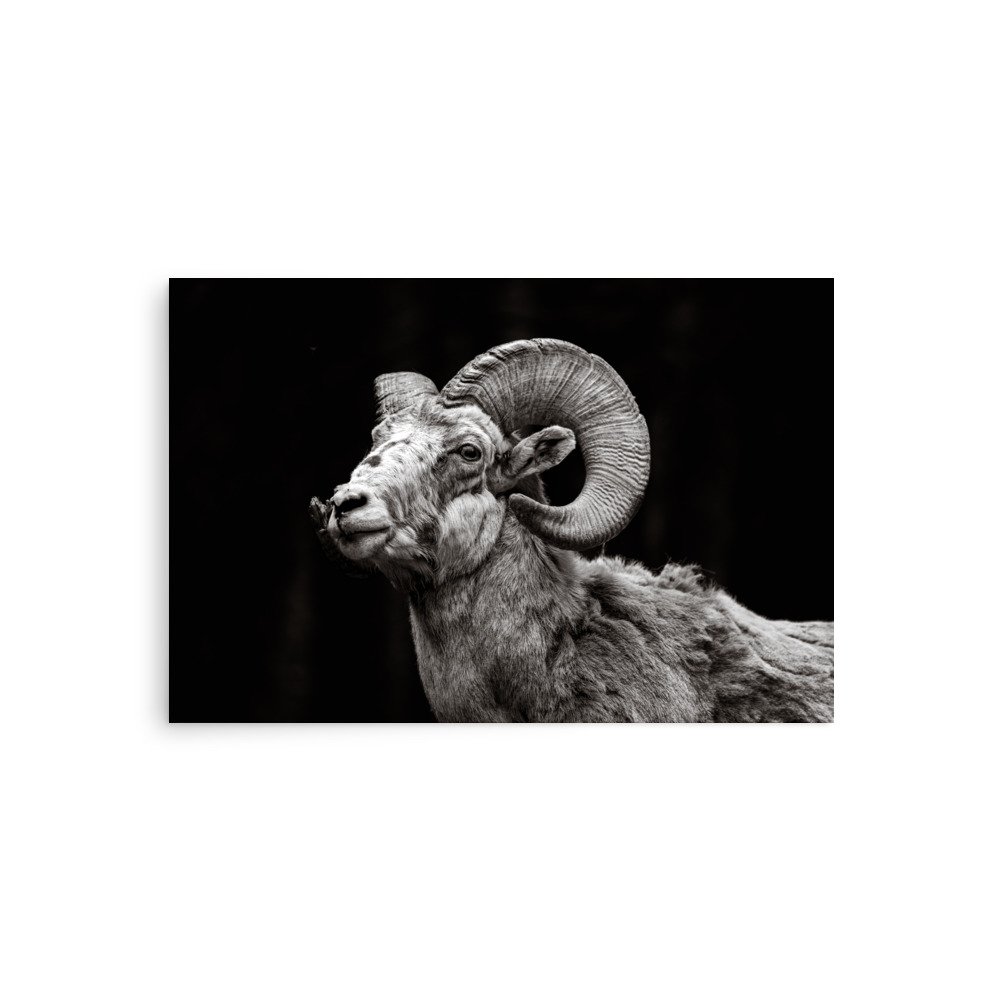 premium-luster-photo-paper-poster-(in)-20x30-front-6a67dc0cd74ad.jpg
