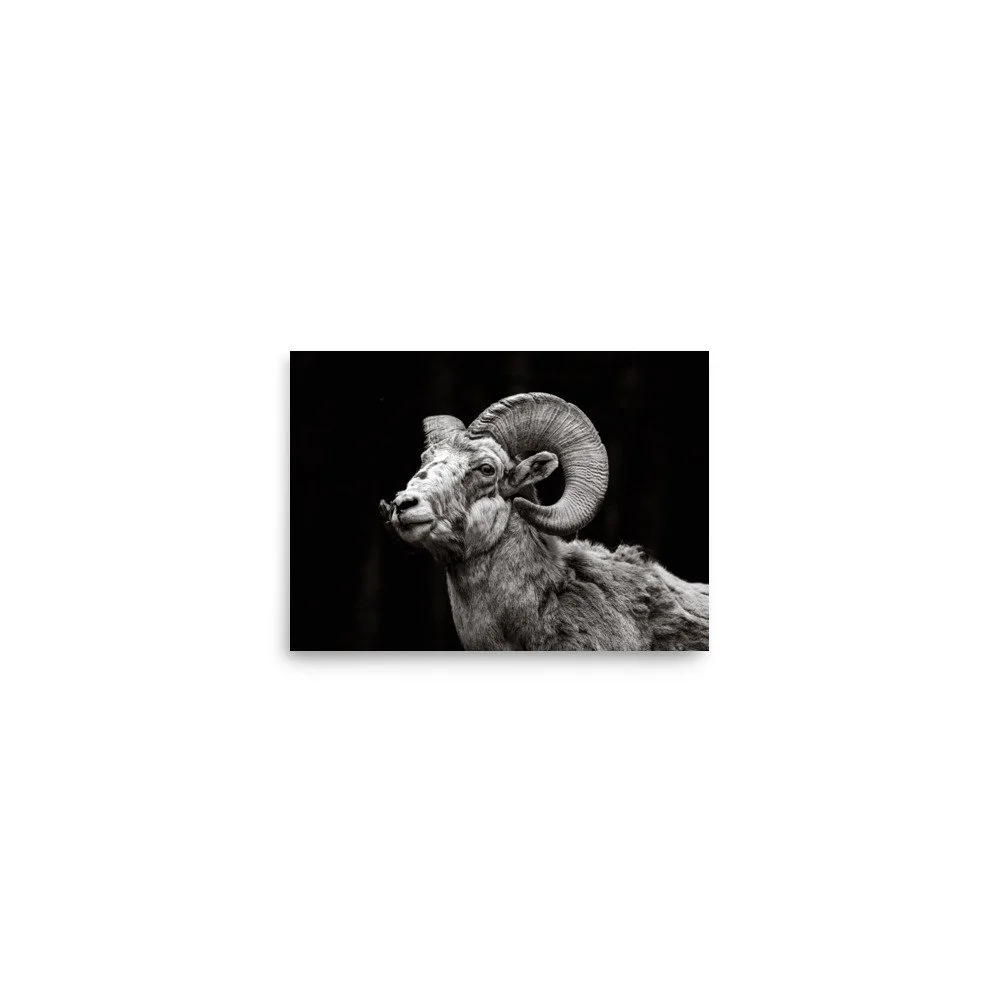 premium-luster-photo-paper-poster-(in)-5x7-front-6a67dc0cd7509.jpg