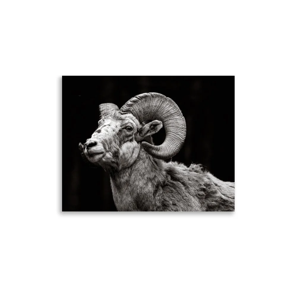 premium-luster-photo-paper-poster-(in)-11x14-front-6a67dc0cd7553.jpg