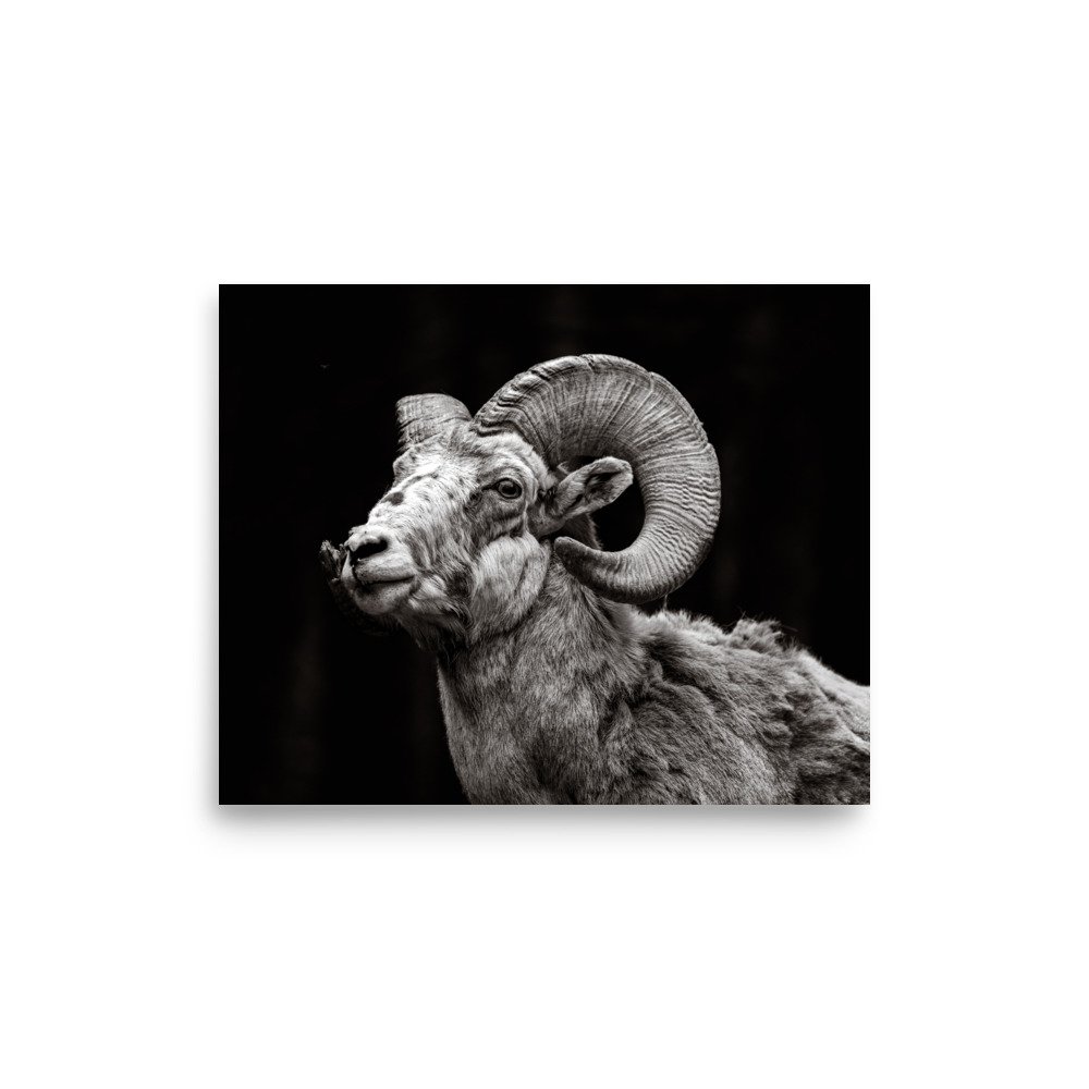 premium-luster-photo-paper-poster-(in)-8x10-front-6a67dc0cd75ef.jpg