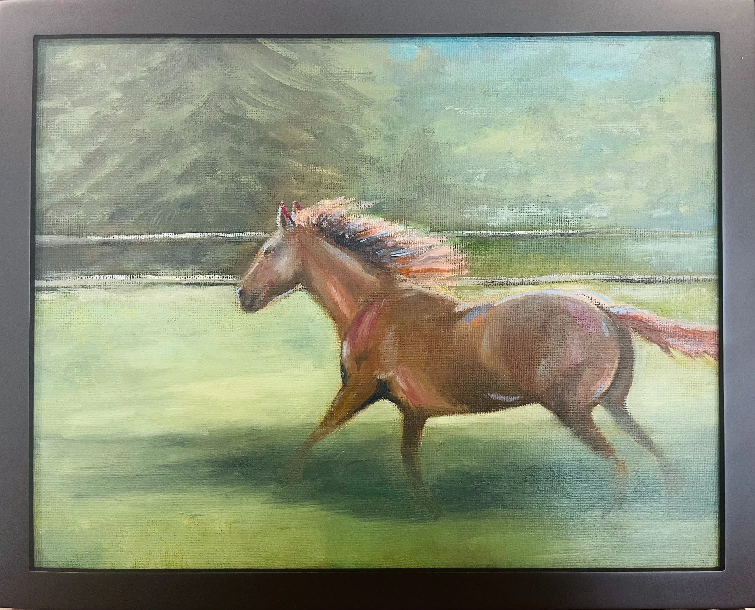 horse.jpg