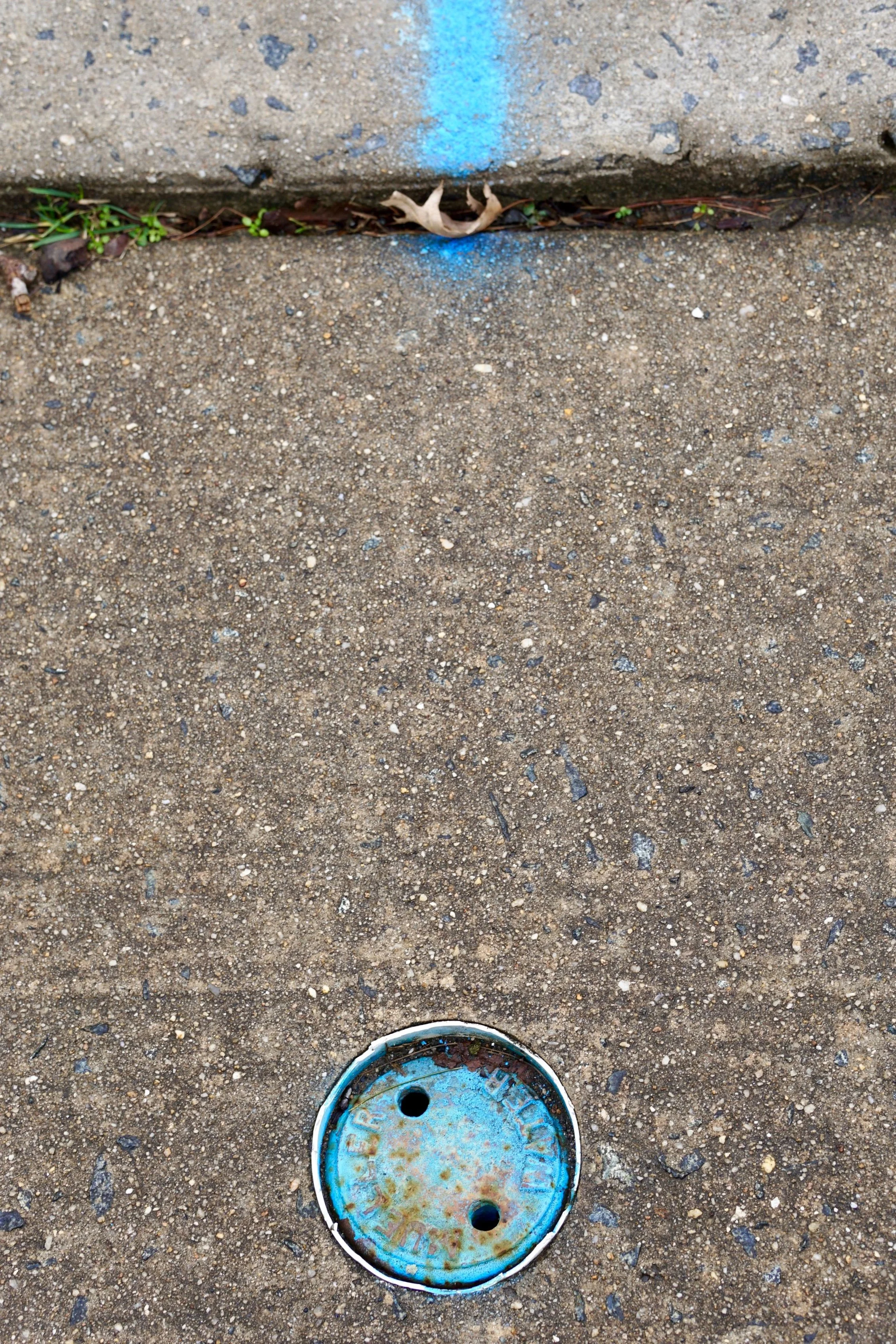 DSC00406.JPG