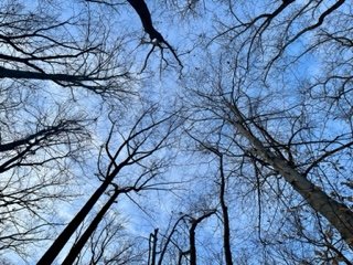 IMG_3133.jpg