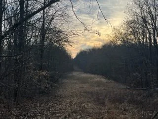 IMG_3129.jpg
