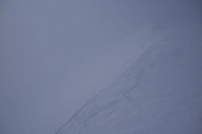 Fox Glacier - Neve