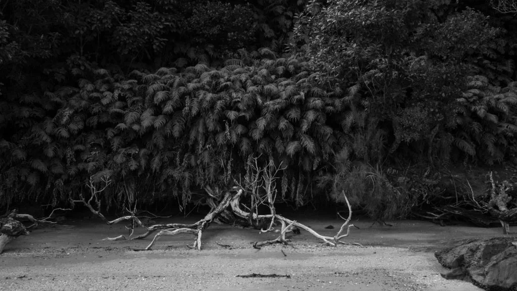 Rakiura - Reserve Island