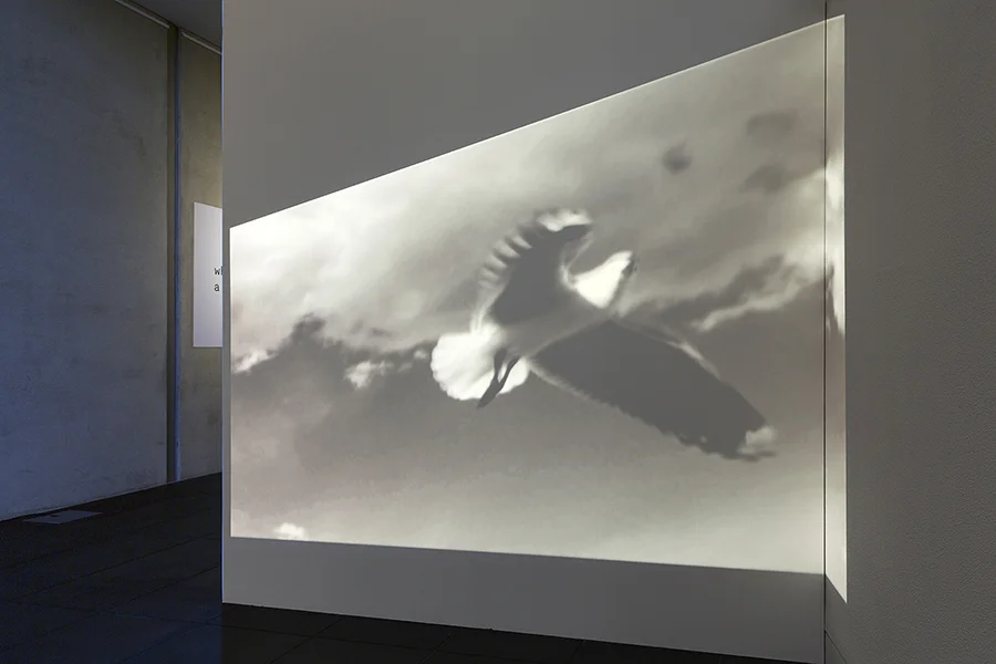 Adam-Gallery_Kim-Pieters_documentation_lowRez_46_website.jpg