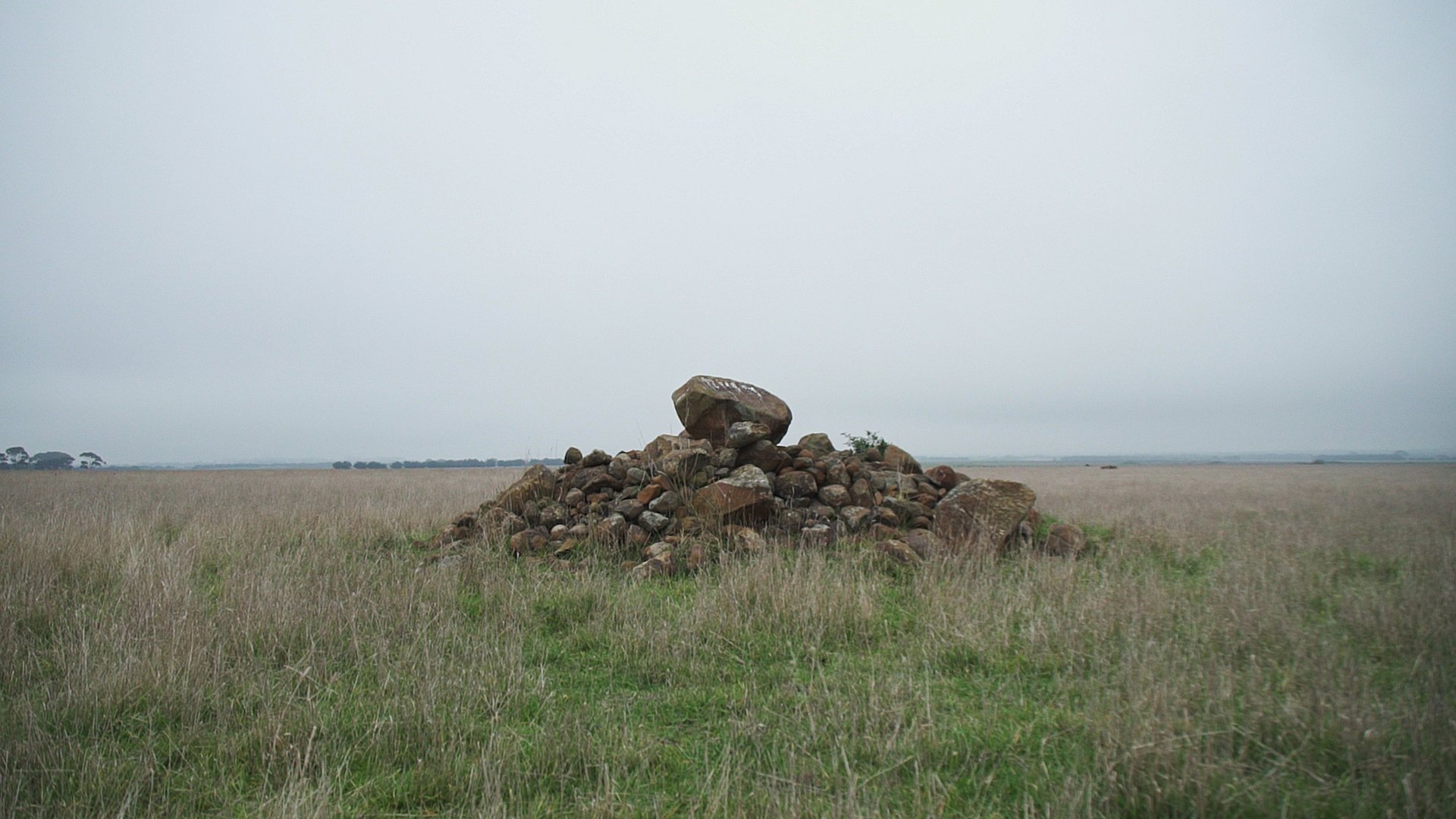 The_Field_mainimage.jpg