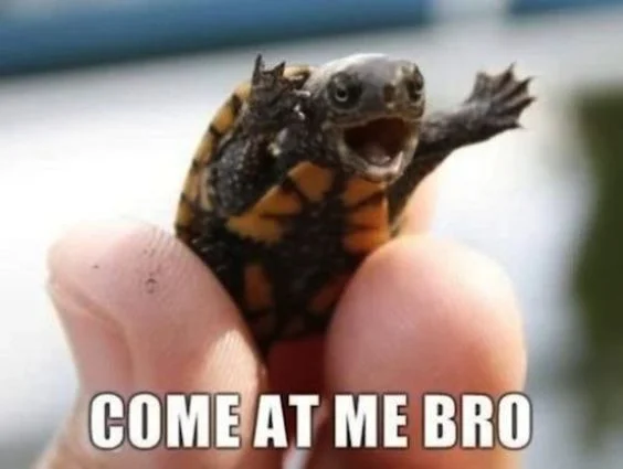 Come at me bro.