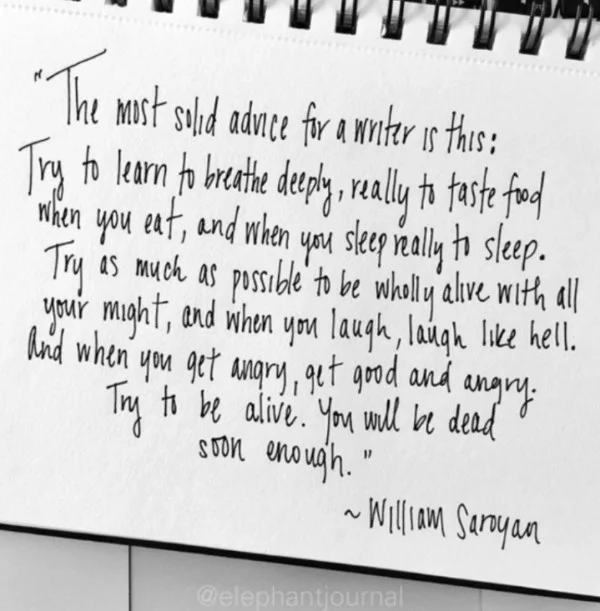 The most solid advice... for anyone! Be alive!