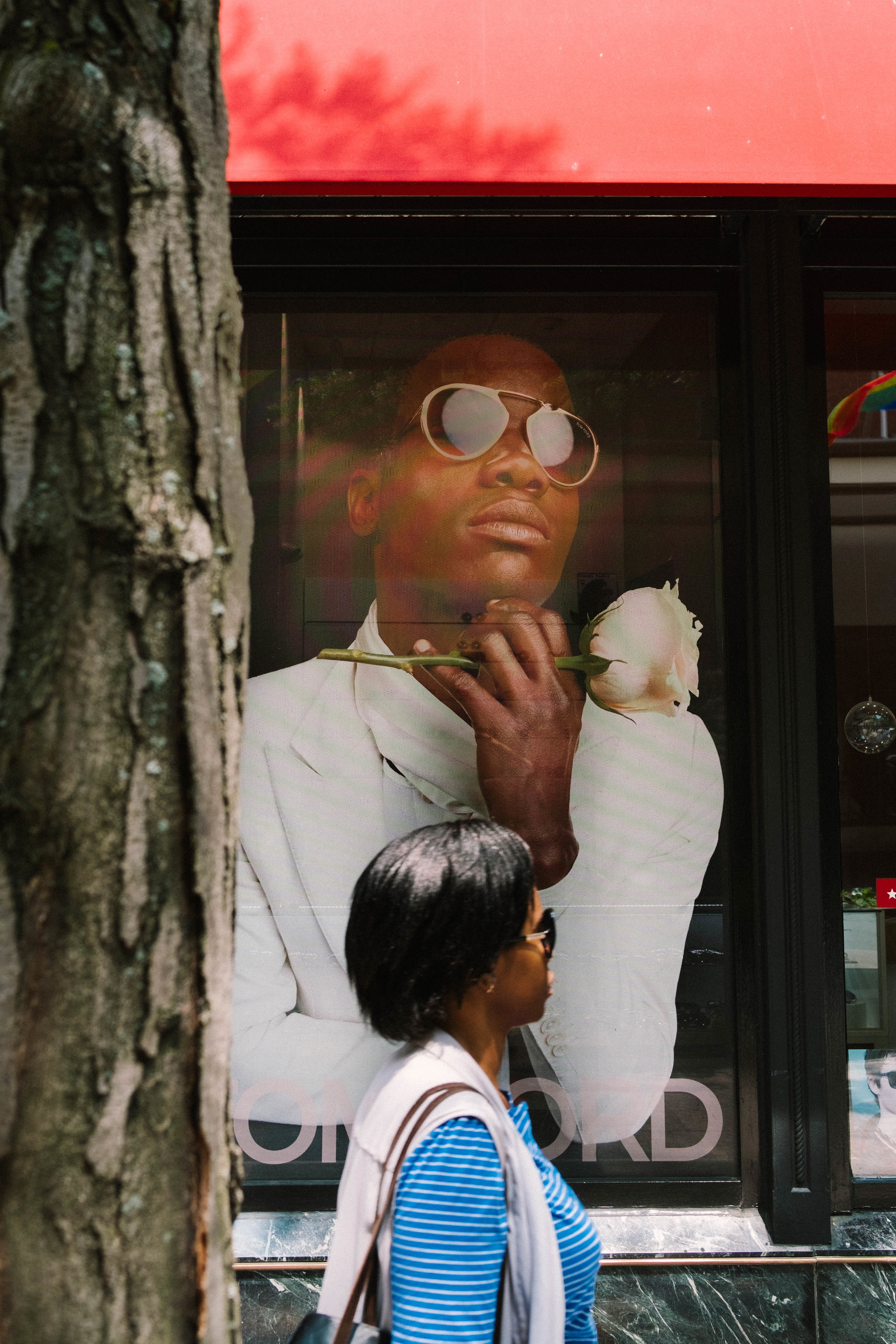 Flowers of Boston