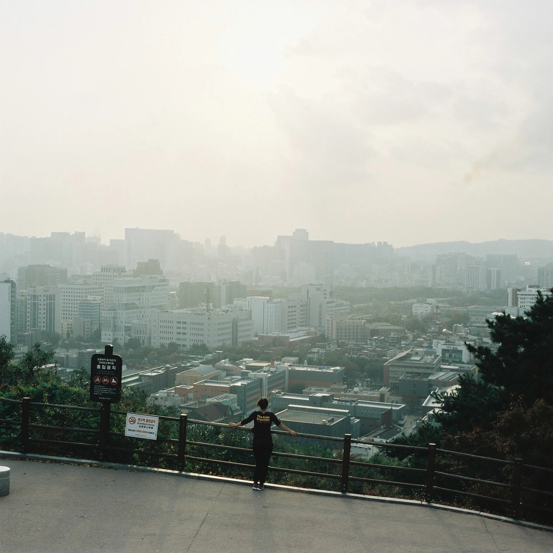000012-4.jpg