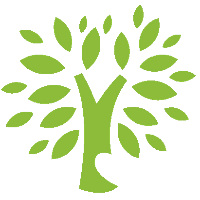 video-biography-spacer-tree-transparent-200px.png