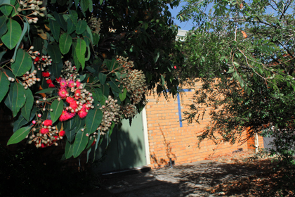 Hall exterior, St John's Bentleigh, VIC