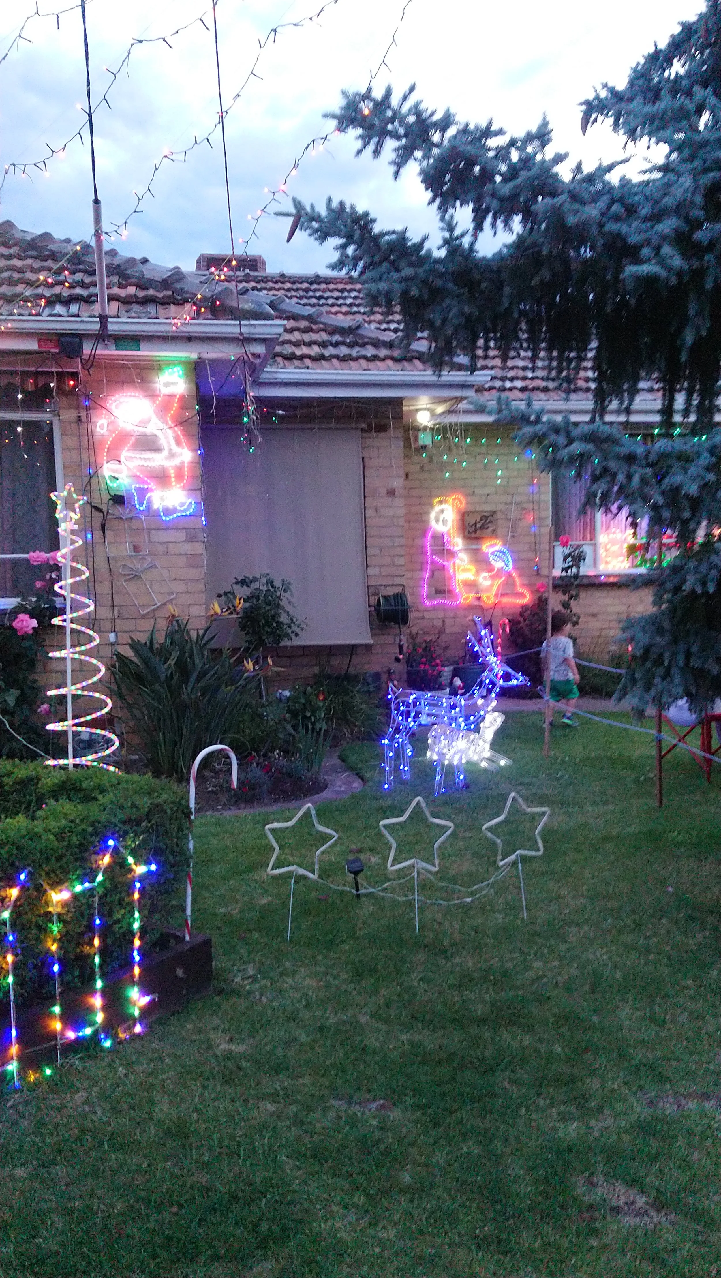 Terry's Christmas Lights