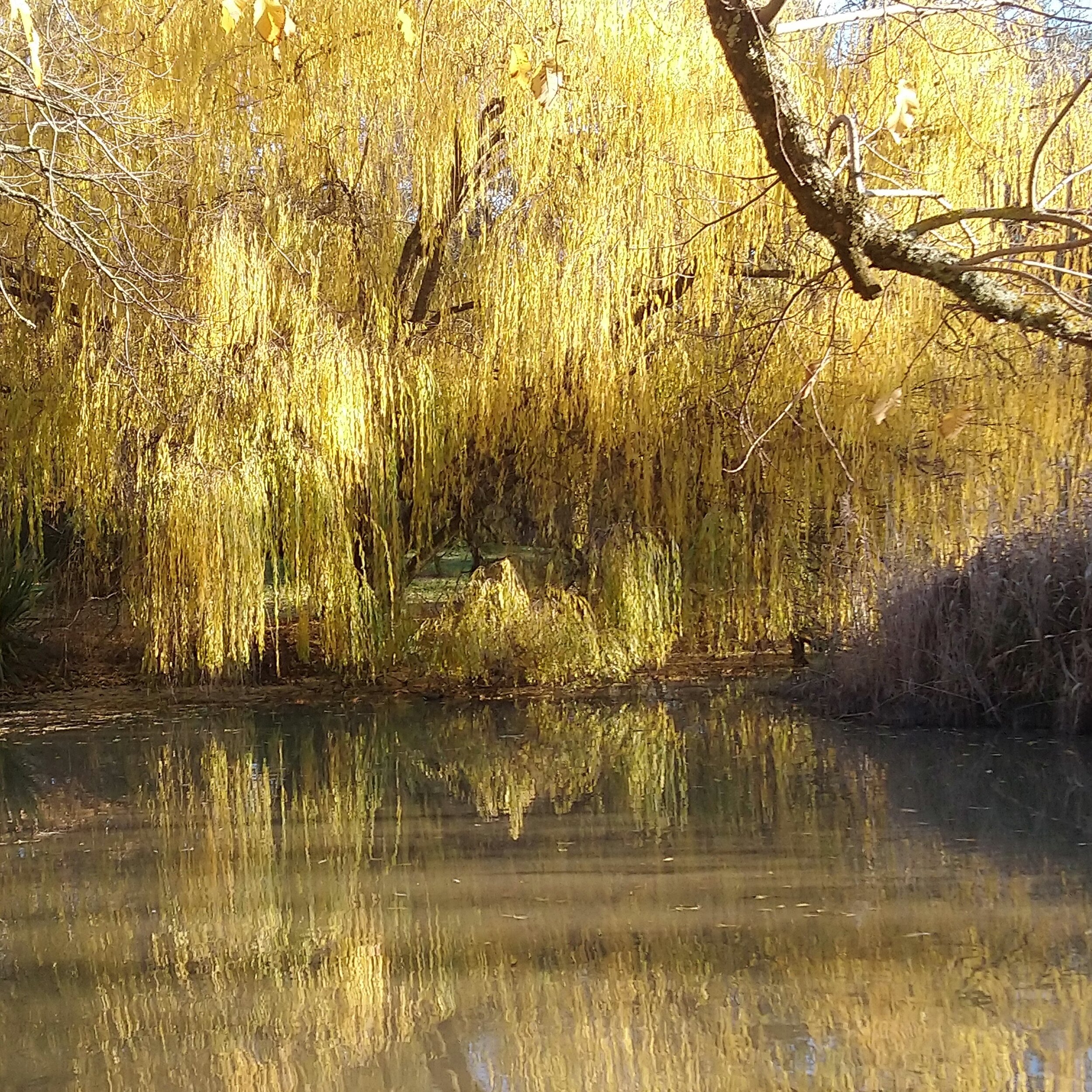 Sunday service now available