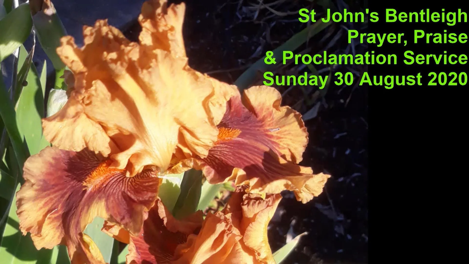 Prayer, Praise and Proclamation Service 30.8.2020