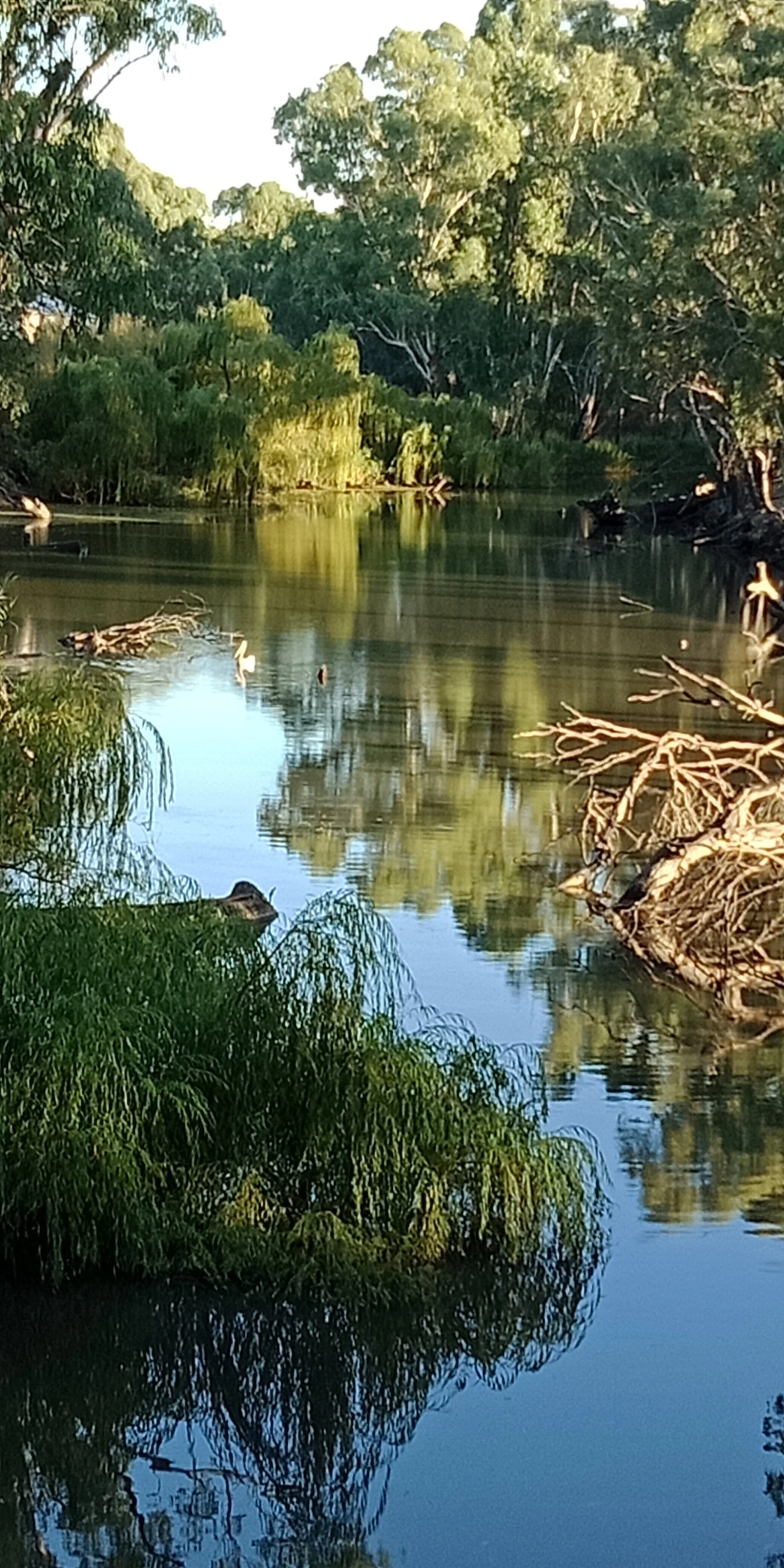 Holy Communion Service 20.9.2020