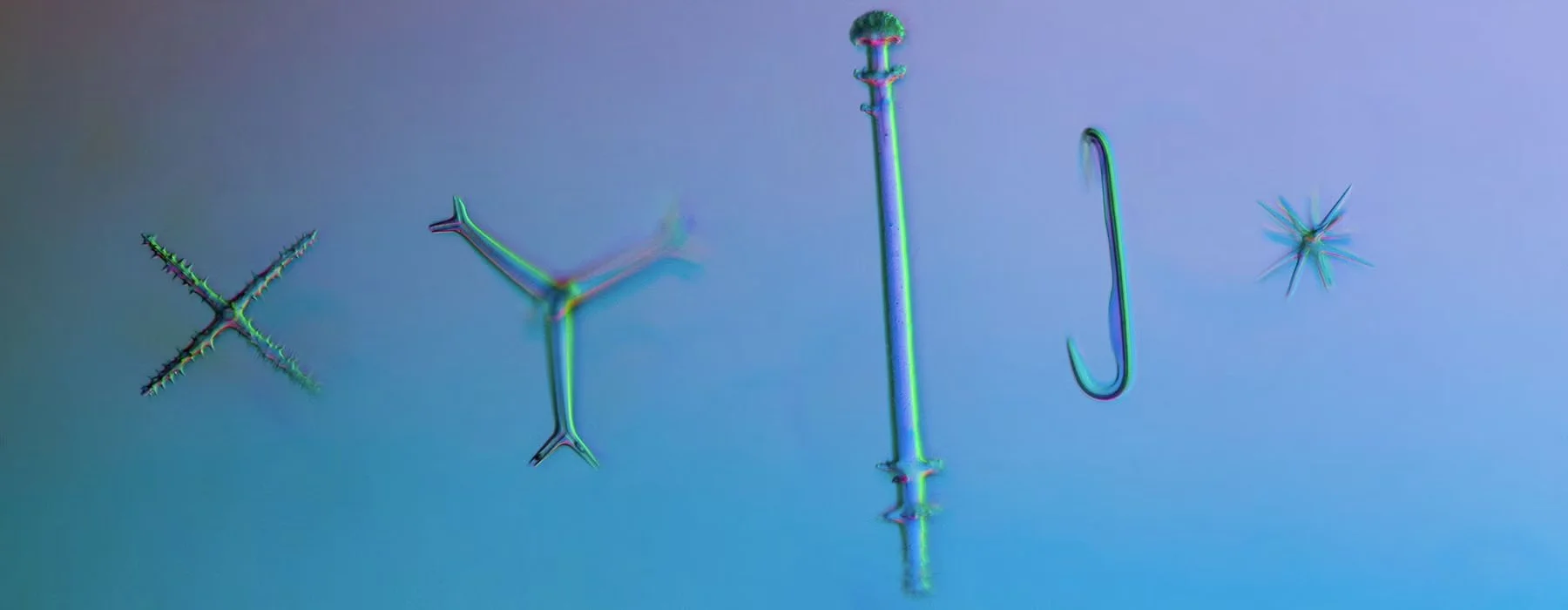 Warm Sounds and Cold Twinkles (2024)