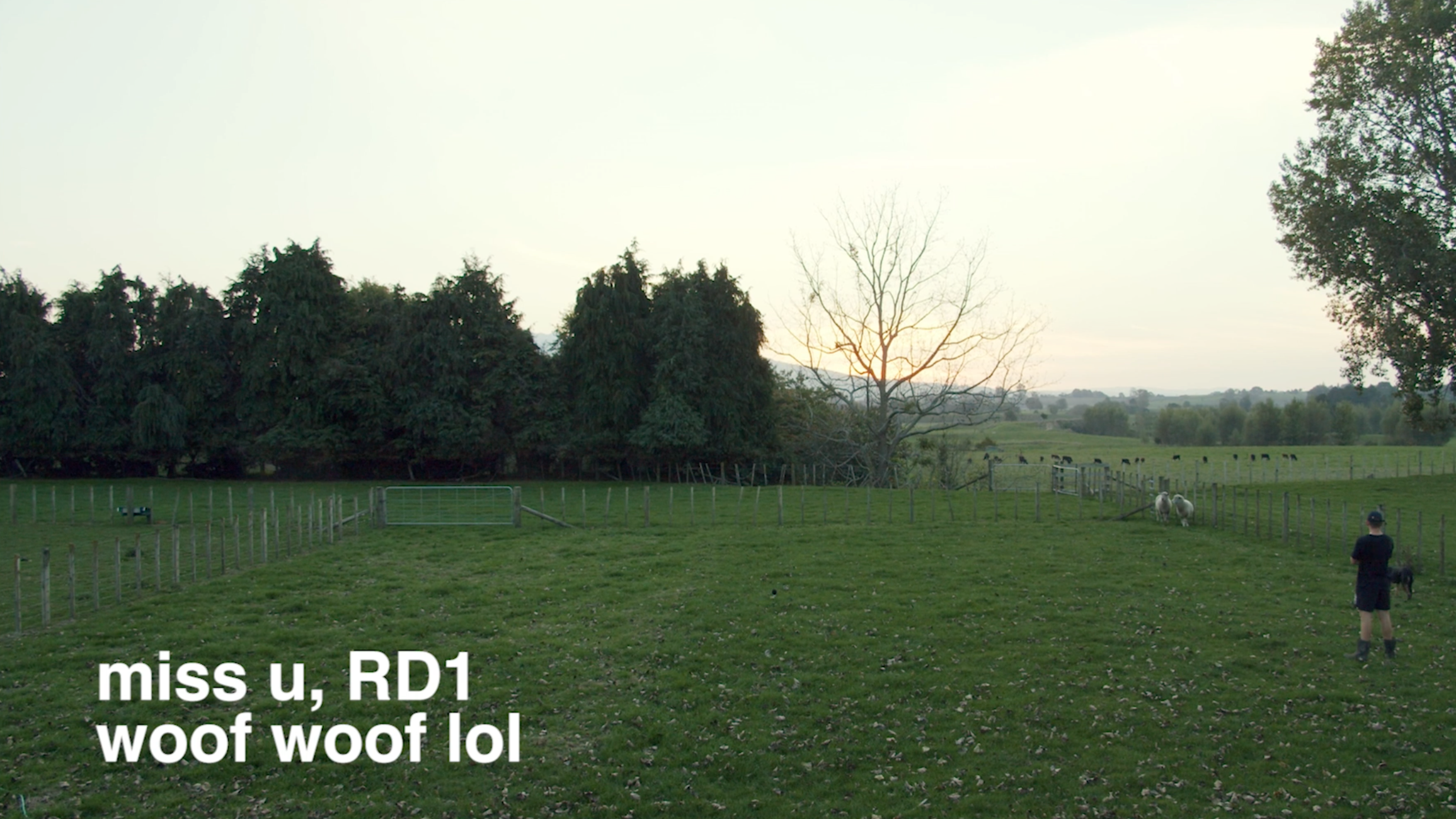 miss u, RD1 - woof woof lol (2021)