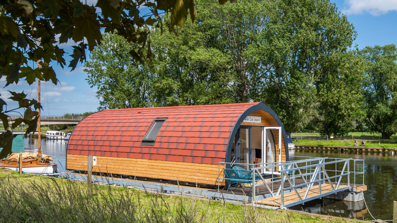 Wild Cat Island web image. .png