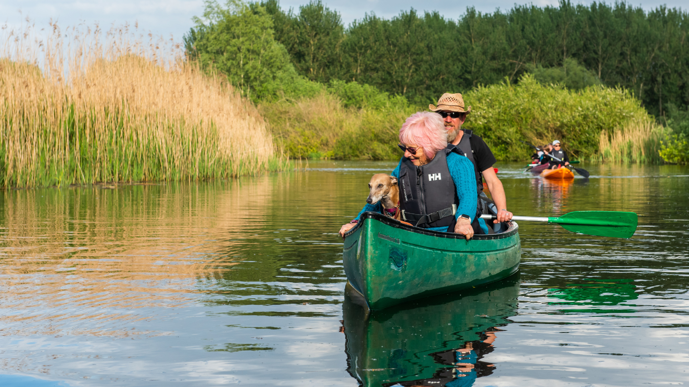 Greyhound dog on a guided canoe tour at Hippersons web .png