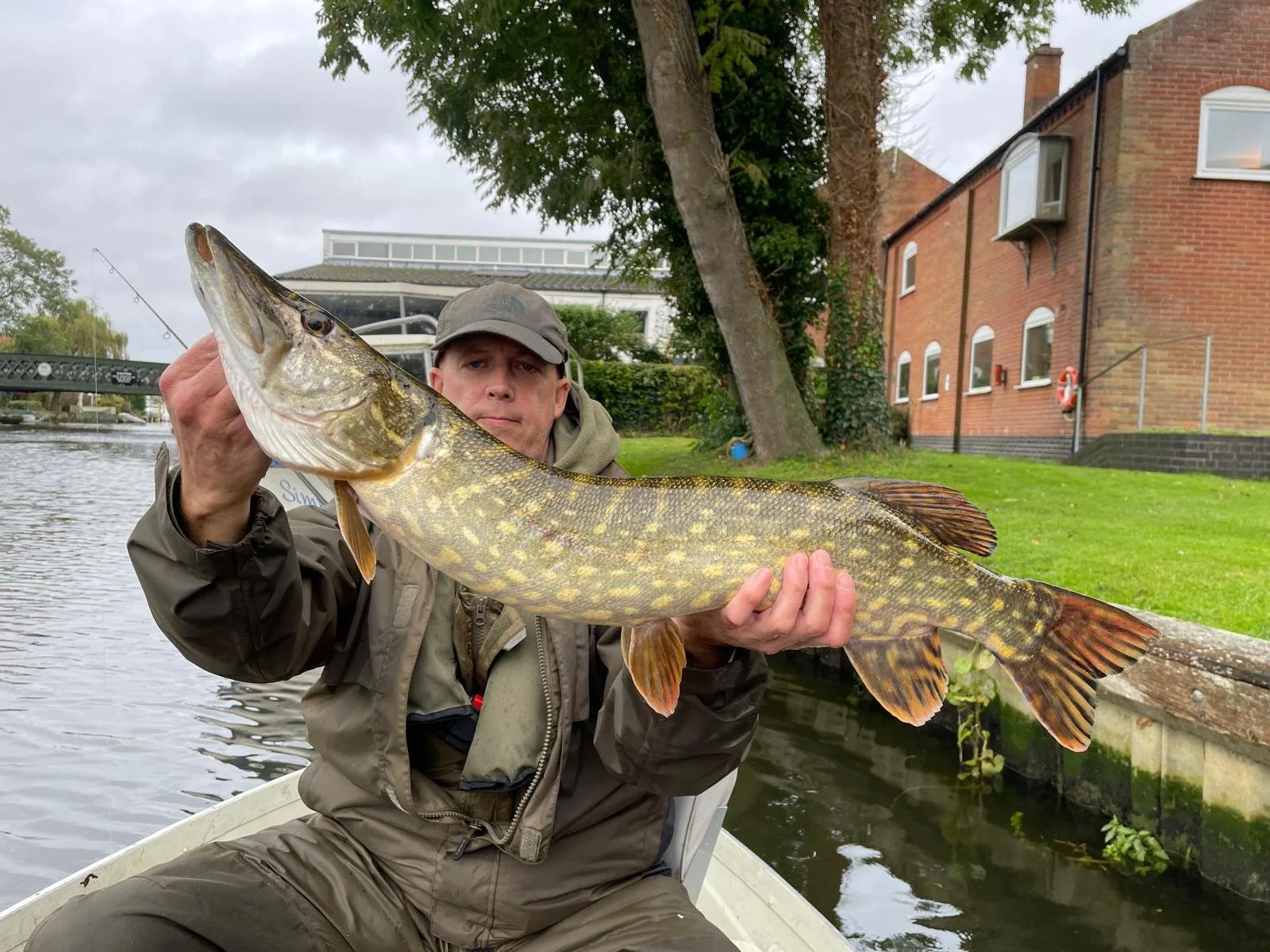 Fish near Beccles old bridge .jpeg