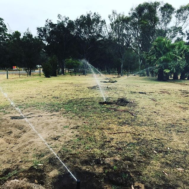 Up and running after not working for a year. #reticulation #perth #perthgardens #garden #kingsparkperth