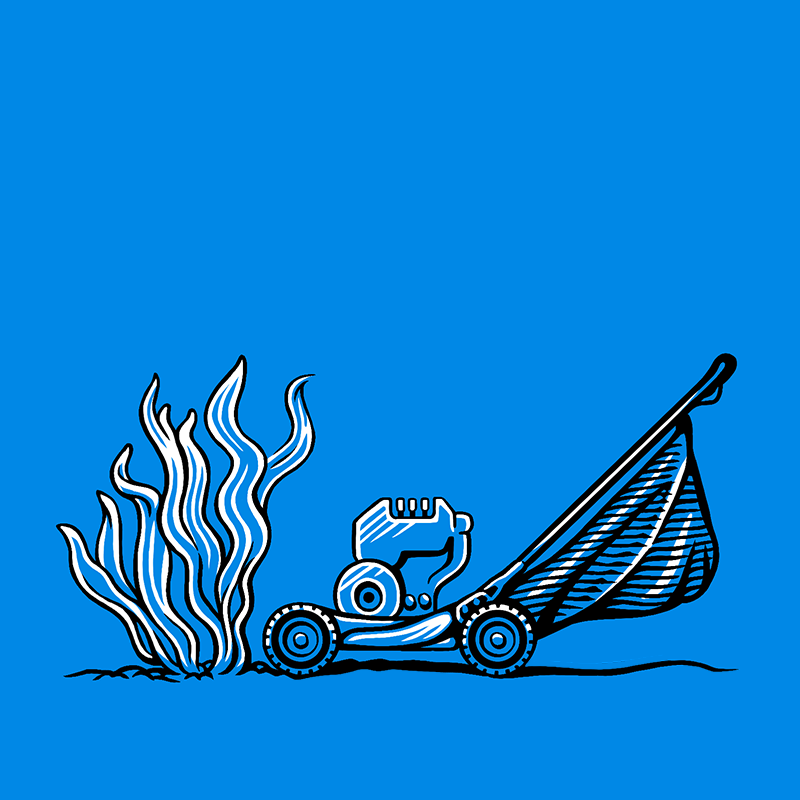 shark_lawnmower_COLOUR_ICON.png