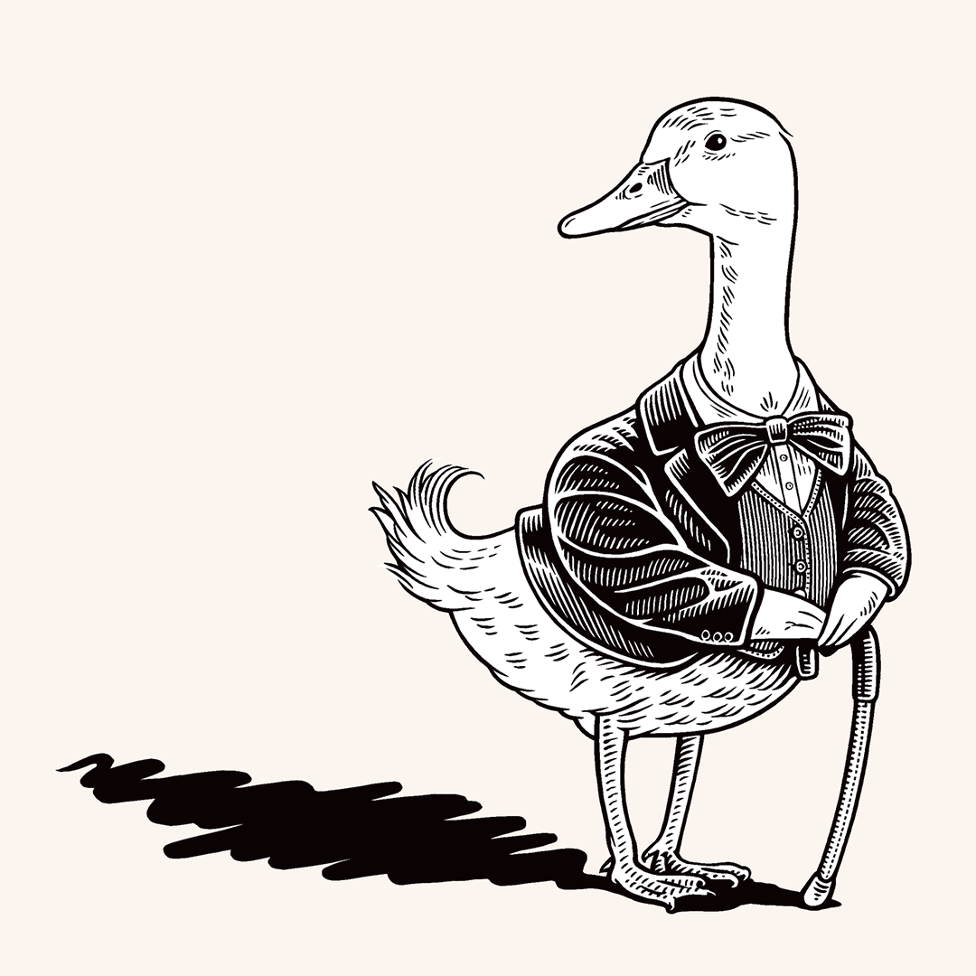 Duck_insta.png